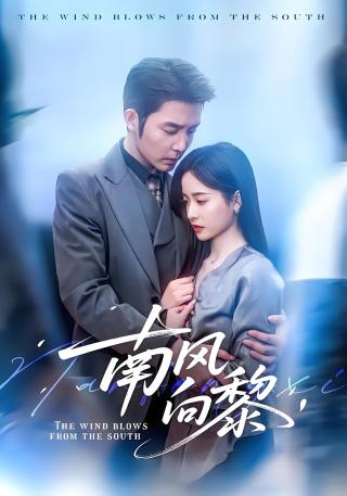 短剧南风向黎海报