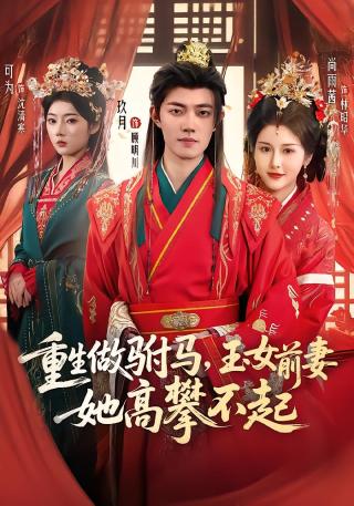 短剧重生做驸马，玉女前妻她高攀不起海报