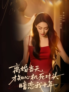 短剧离婚当天，才知心机死对头暗恋我十年海报