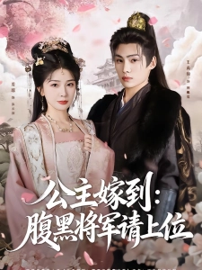 短剧公主嫁到：腹黑将军请上位海报