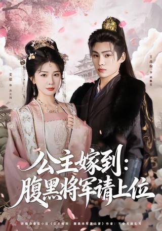短剧公主嫁到：腹黑将军请上位海报