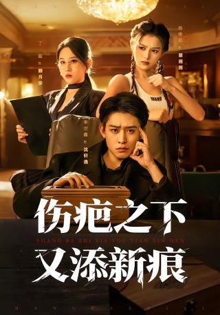 短剧伤疤之下又添新痕海报