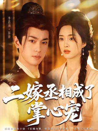 短剧二嫁丞相成了掌心宠海报