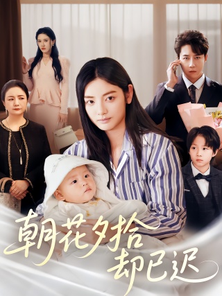 短剧朝花夕拾却已迟海报