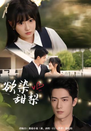 短剧欲染甜梨海报