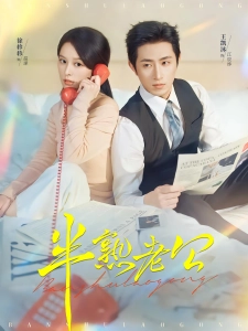 短剧半熟老公海报