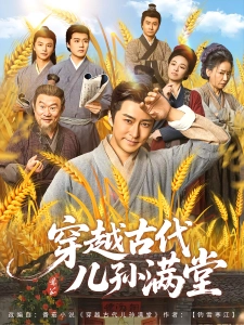 短剧穿越古代儿孙满堂海报