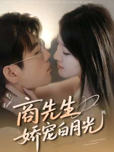 短剧商先生娇宠白月光海报