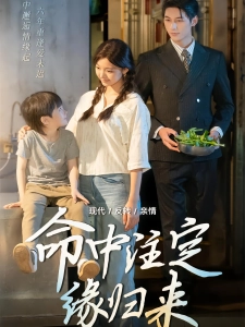 短剧命中注定缘归来海报