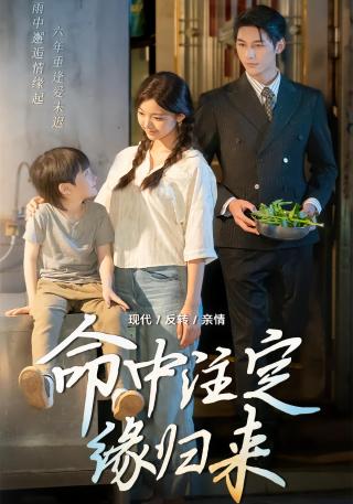 短剧命中注定缘归来海报