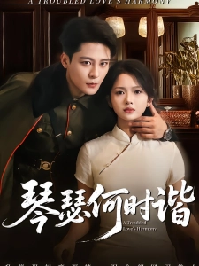 短剧琴瑟何时谐海报