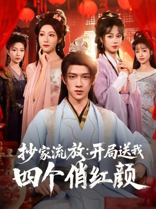 短剧抄家流放：开局送我四个俏红颜海报