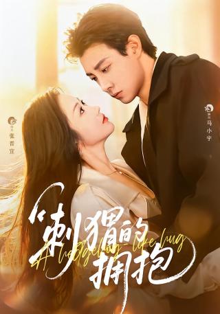 短剧刺猬的拥抱海报