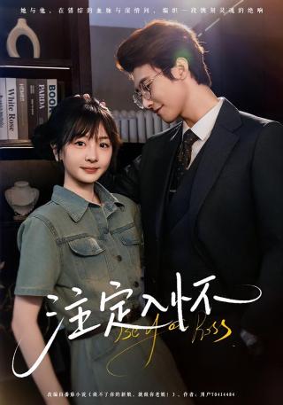 短剧注定入怀海报