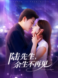 短剧陆先生，余生不再见海报