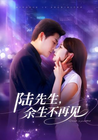 短剧陆先生，余生不再见海报