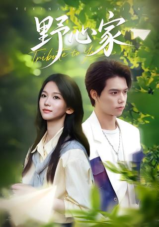 短剧野心家海报