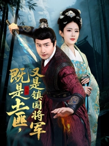 短剧既是土匪，又是镇国将军海报