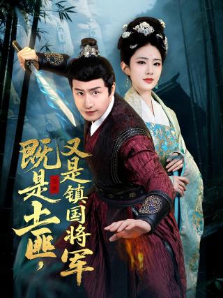 短剧既是土匪，又是镇国将军海报