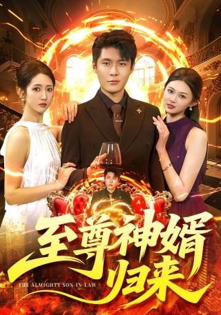 短剧至尊神婿归来海报