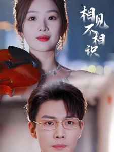 短剧相见不相识海报