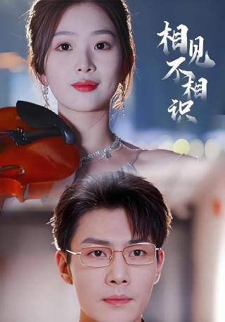 短剧相见不相识海报