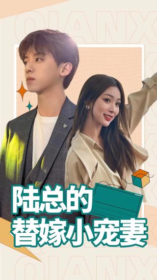 短剧陆总的替嫁小宠妻海报