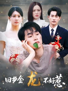 短剧回乡金龙不好惹海报