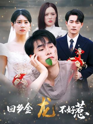 短剧回乡金龙不好惹海报