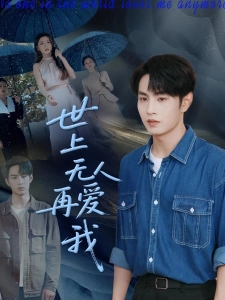 短剧世上无人再爱我海报