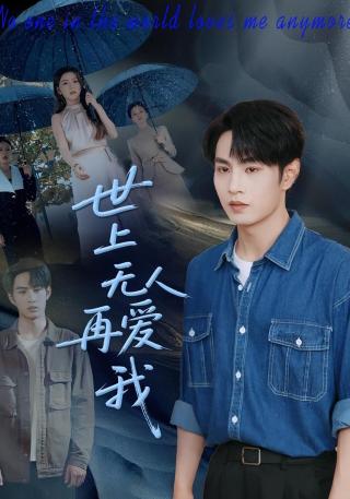 短剧世上无人再爱我海报