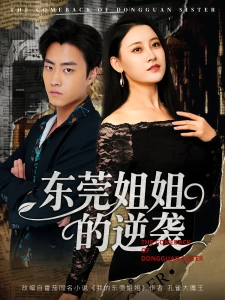 短剧东莞姐姐的逆袭海报