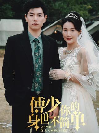 短剧傅少你的身世不简单海报