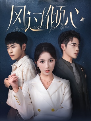 短剧风过倾心海报