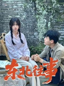 短剧东北往事海报