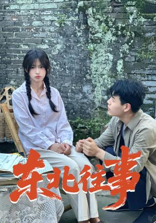 短剧东北往事海报