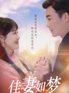 短剧佳妻如梦海报