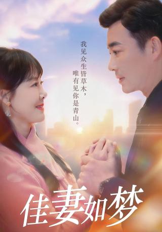 短剧佳妻如梦海报