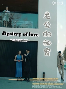 短剧老公的秘密海报