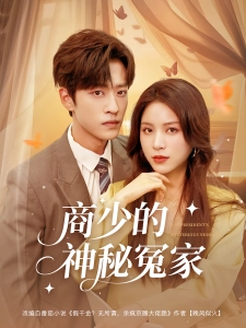 短剧商少的神秘冤家海报