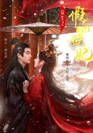 短剧双生之假面妖妃海报