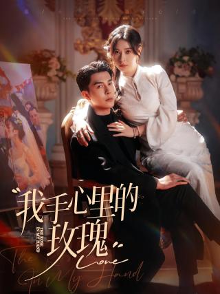 短剧我手心里的玫瑰海报