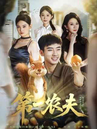 短剧第一农夫海报