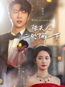 短剧陆夫人，二胎了解一下海报