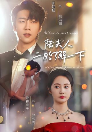 短剧陆夫人，二胎了解一下海报