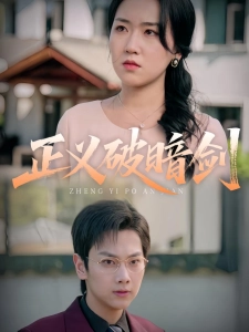 短剧正义破暗剑海报