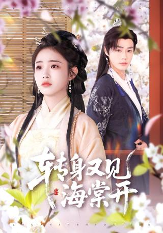 短剧转身又见海棠开海报