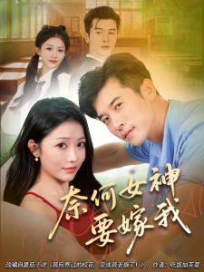 短剧奈何女神要嫁我海报