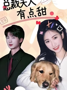 短剧总裁夫人有点甜海报