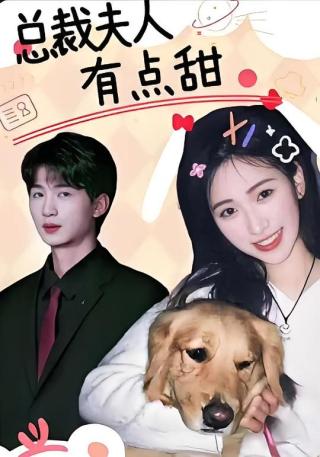 短剧总裁夫人有点甜海报